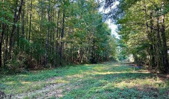 NE Williams Street, Brookhaven, MS 39601