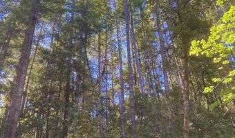Agness-Illahe Rd, Agness, OR 97406