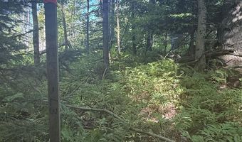1416 Clif Reynolds Rd 3, Cambridge, VT 05444