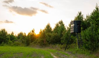 Mann Road, Arabi, GA 31712