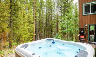 218 GOLDEN CROWN Ln, Blue River, CO 80424