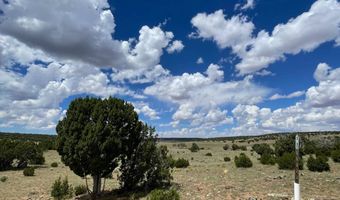 00 TBD, Concho, AZ 85924