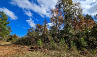 0 Bruner Pond Rd, Ashford, AL 36320