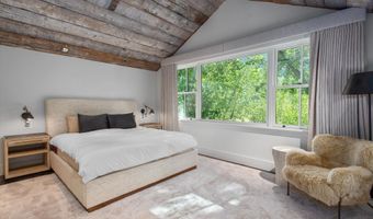 1230 Snowbunny Ln, Aspen, CO 81611