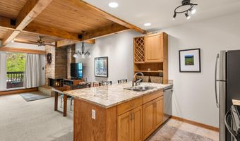 610 S West End St J204, Aspen, CO 81611