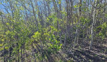 NHN Alpha Lode & Alpha Fraction Lode Alpha Trail, Anaconda, MT 59711