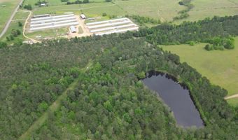 167 E W Morgan, Arcadia, LA 71001