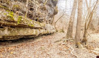 CR 19-A, Alton, MO 65606