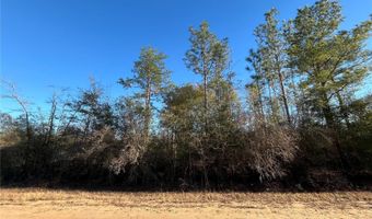 Goreville Avenue, Alford, FL 32420