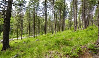 604 Ranch Rd, Bigfork, MT 59911