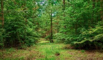 0 US-412 Hwy W, Beech Bluff, TN 38313