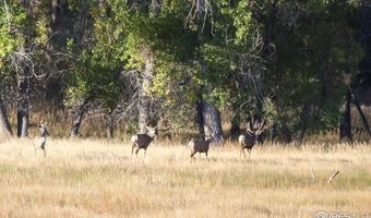 0 County Road 170, Agate, CO 80101