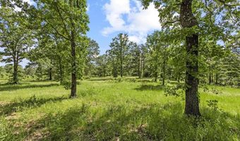 1942 E 1970 Rd, Antlers, OK 74523