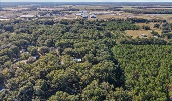 912 22nd Ct, Bell, FL 32619