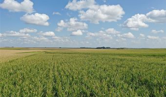 Marsh Avenue, Allison, IA 50602