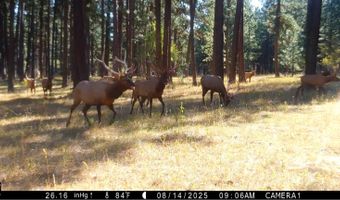1881 Mill Rd, Anatone, WA 99401
