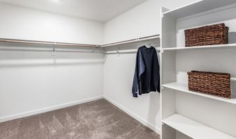 468 Sheep Camp Dr, Dayton, NV 89403