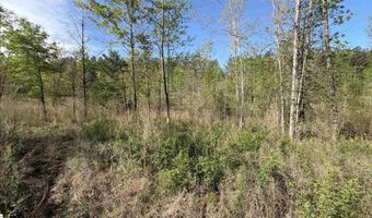 2125 Hwy 247, Belton, SC 29627