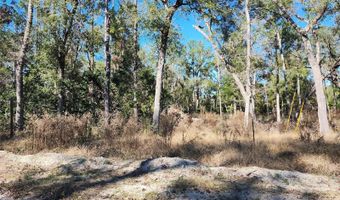 SW 13TH STREET, Bell, FL 32619