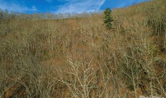 31 Reillys Bluff Rd 2, Barnardsville, NC 28709