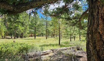 71 Quail Rdg, Antonito, CO 81120