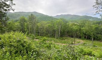 Pumpkin Patch Road, Bakersville, NC 28705