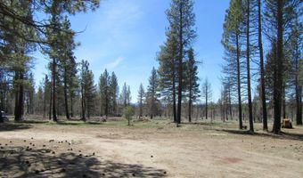 56236 Parazoo Trl, Bly, OR 97622