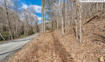 Tbd Perry Presnell Road, Banner Elk, NC 28604