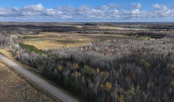 ON SURING LN unit 16+ Acres 16+ Acres, Argonne, WI 54511