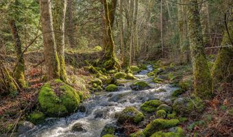 2829 Buckhorn Springs Rd, Ashland, OR 97520