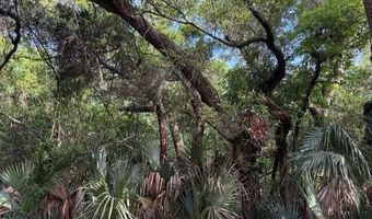 207 Muscadine Wynd, Bald Head Island, NC 28461