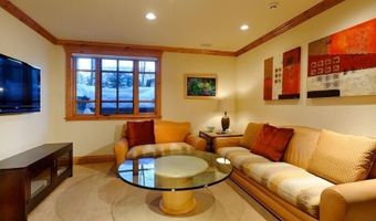 835 E Cooper Ave 4, Aspen, CO 81611