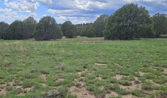 Birdwing Lane, Clay Springs, AZ 85923