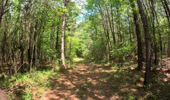 Christian Hts Road, Braxton, MS 39044