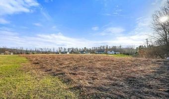 L43.3 Fairway Court, Afton, NY 13730