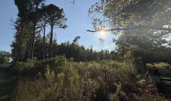 1 46 Acres 2nd Ave, Altoona, AL 35952