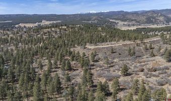 TBD Lot 8 Beaver Creek Ranch Drive, Bayfield, CO 81122