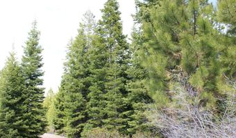 Tower Springs, Bly, OR 97622