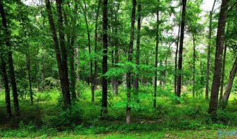 Wilcox Street SE, Attalla, AL 35954