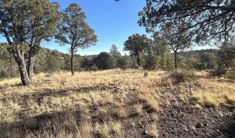 Simmens Ranch Road, Arenas Valley, NM 88061