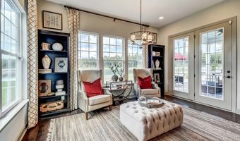 20 Knotty Pine Dr, Bluffton, SC 29909