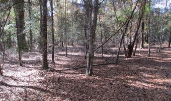 Hillside Drive, Americus, GA 31709