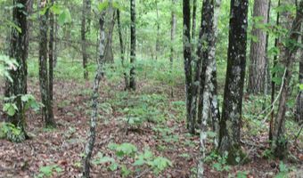 E Mountain Road, Bee Branch, AR 72013