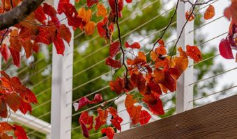 461 Saint Andrews Dr, Aptos, CA 95003