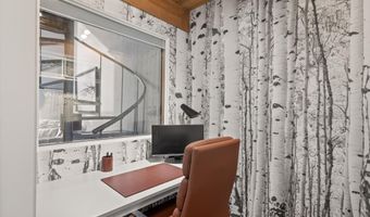 1024 E Cooper Ave 3A, Aspen, CO 81611