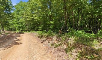 210 County Road 320, Alton, MO 65606
