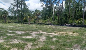 2011 Irving Ave, Alva, FL 33920
