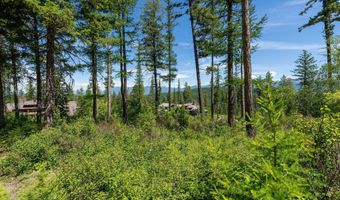 227 Chief Cliff Trl, Bigfork, MT 59911