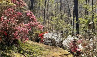 105 Wildwood Trl, Andersonville, TN 37705