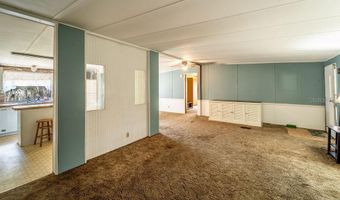 24031 ARMADILLO Rd, Astor, FL 32102